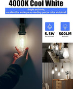 Lumiverse 36 Pack E26 led Bulb 60 watt dimmable Vintage LED Edison Bulbs 5.5W, 60W Equivalent,4000K Cool White, Antique Style ST19/ST58 LED Light Filament Bulbs, CRI 90+, E26 Base