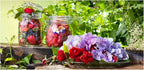 Bormioli Rocco Fido Clear Glass 5 Piece Canning Jar Set