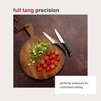 Zyliss Comfort Pro Serrated Paring Knife - Full Tang Vegetable & Bread Knife - Ice Hardened Stainless Steel Serrated Knife - Cutlery with Antibacterial Handle - Black/Stainless Steel - 4.5 Inches