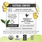 Numi Organic Tea Decaf Ginger Lemon, 100 Count Box of Tea Bags, Decaf Green Tea (Packaging May Vary)