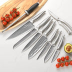 NANFANG BROTHERS® 10 Pieces Damascus Kitchen Knife Set, High Carbon Stainless Steel Damascus Steel Chef Knife Set, Stainless Steel Ergonomic Handle for Chef, with Built-in Sharpening Rod NF