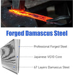 Sunnecko Damascus Paring Knife,Japanese VG10 Core Steel Damascus Fruit Knife,Professional Razor Sharp Small Kitchen Knives with Knives Sharpner