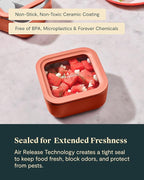 Caraway 2pc Glass Food Storage Set - 4.4 Cup Food Containers (2) - Ceramic Coated - Non Toxic, Non Stick Lunch with Lids - Dishwasher, Oven, & Microwave Safe - Perracotta
