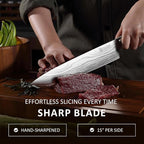 PAUDIN Chef Knife, 10 Inch Meat Knife, Ultra Sharp Brisket Slicing Knives, High Carbon Stainless Steel Kitchen Knife with Ergonomic Handle for BBQ, Roast, Meats and Vegetables