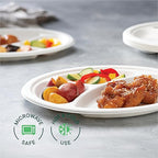 100% Compostable Paper Plates 10 Inch Bulk [500 Count] Heavy-Duty Dinner Plates with Compartments - Natural White Color Bagasse - Eco-Friendly Disposable Biodegradable Sugarcane - [Case 4/125 Pack]