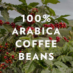 Community Coffee Café Special Blend, Ground Coffee, Medium Dark Roast, 12 Ounce Bag (Pack of 1)