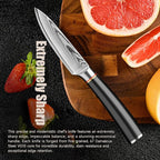 Sunnecko Damascus Paring Knife,Japanese VG10 Core Steel Damascus Fruit Knife,Professional Razor Sharp Small Kitchen Knives with Knives Sharpner