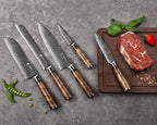 Wakoli Damascus Chef Knife Set with Magnetic Block – 5-Piece Professional Kitchen Knife Collection | Genuine 67-Layer Damascus Steel Blades with VG10 Core | Ergonomic Sycamore Wood Handles