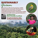 Low Acid Organic Coffee – Whole Bean, Mold-Free & Stomach Friendly by Java Planet, Peruvian Single Origin Coffee, Medium Dark Roast, Smooth Full Flavored, 2x1LB Bag