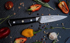Regalia Paring (Petty) Knife 3.5 inch: Japanese AUS10 Super Steel 67 Layer High Carbon Stainless Damascus Steel Peeling Utility knives
