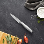HENCKELS Modernist 4-inch Paring Knife, Razor-Sharp German Engineered Informed by 100+ Years of Mastery, Gray